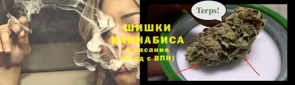 хмурый Каменка