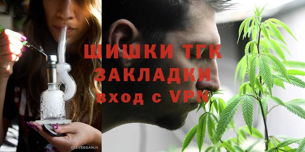 хмурый Каменка